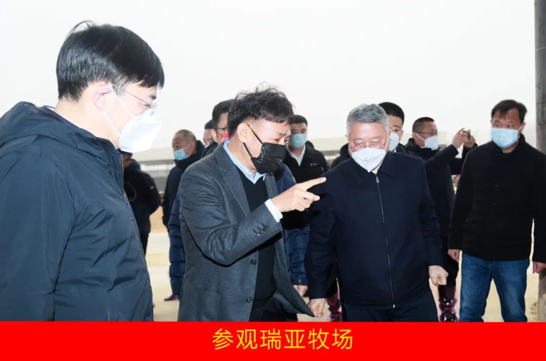 新年開新局 合作促發(fā)展丨佳木斯市委常委、副市長閆志剛一行蒞臨花花牛乳業(yè)集團(tuán)及佳田企業(yè)考察座談