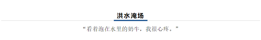 【乳報·聚焦】“豫”難而上的中原牛人“太中了”！