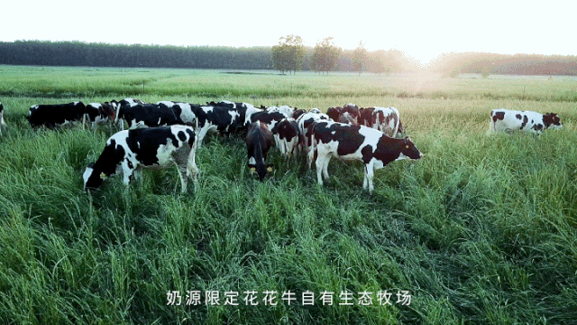 快訊 | 長江商學(xué)院智能制造學(xué)會(huì)走進(jìn)花花牛乳業(yè)集團(tuán)