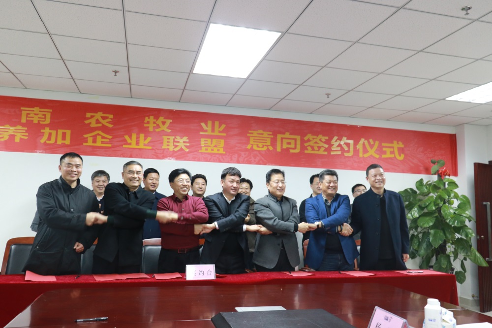 涉農(nóng)企業(yè)強(qiáng)強(qiáng)聯(lián)合，“抱團(tuán)取暖”共迎企業(yè)發(fā)展的春天