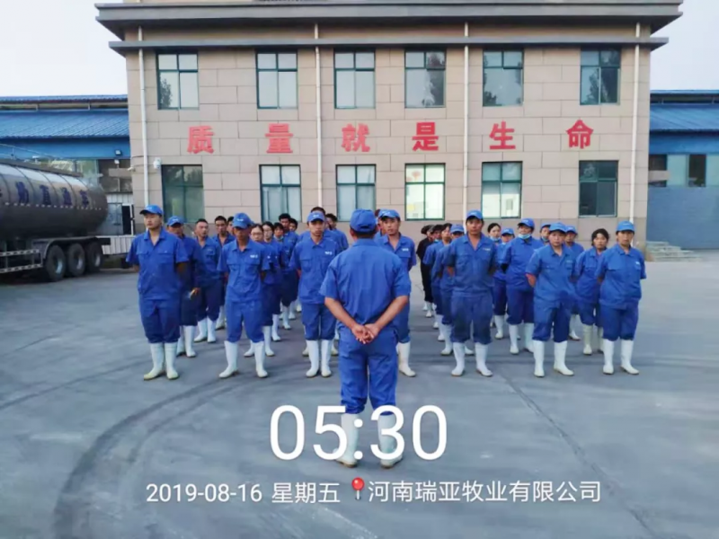 小晨會·大能量——砥礪奮進(jìn)的花花牛，加油！